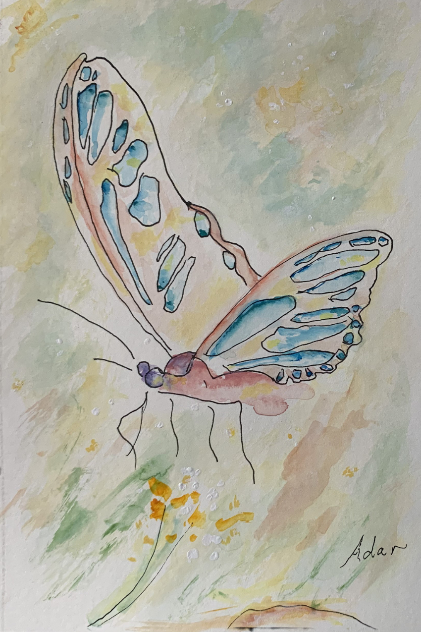 January 29, 2021 – New Upload to Fine Art America, My First Watercolor Painting on Paper with My Own Printed Pen and Ink, Floating Butterfly 1
