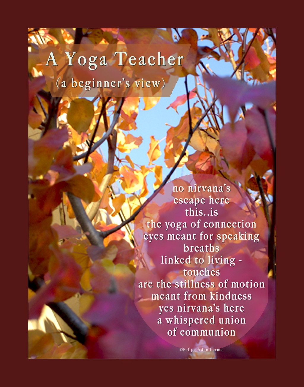July 24, 2022 – My Most Viewed Image this Past Week @FineArtAmerica, “A Yoga Teacher” : circa 2011