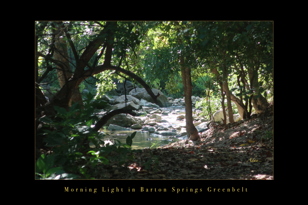 August 17, 2021 – My Newest Poster Upload @FineArtAmerica – Morning Light in Barton Springs Greenbelt, Austin Texas Poster